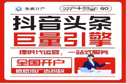 网络推广与竞价策略实战案例